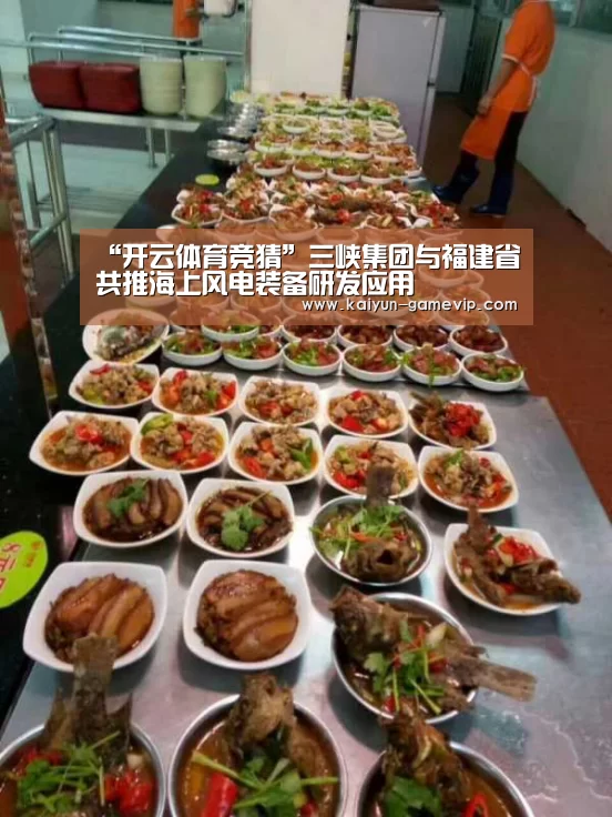 “开云体育竞猜”三峡集团与福建省共推海上风电装备研发应用(图1) 开云综合娱乐平台