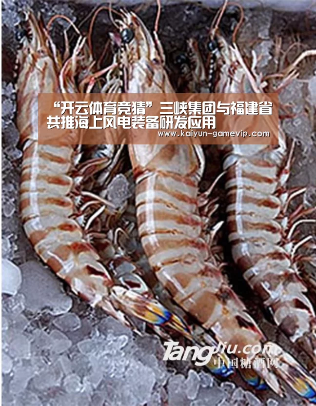 “开云体育竞猜”三峡集团与福建省共推海上风电装备研发应用(图3) 开云综合娱乐平台