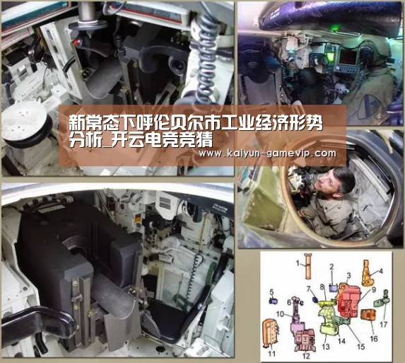 新常态下呼伦贝尔市工业经济形势分析_开云电竞竞猜(图3) 开云体育