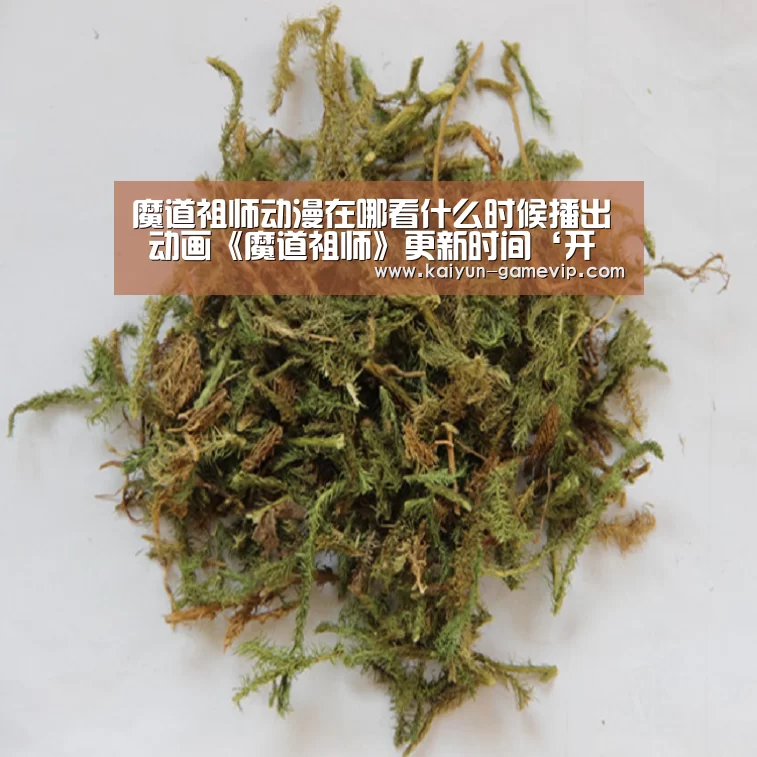 开云综合娱乐平台