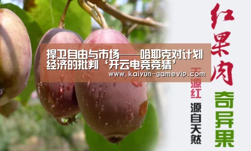 捍卫自由与市场——哈耶克对计划经济的批判‘开云电竞竞猜’(图3) 开云电竞竞猜