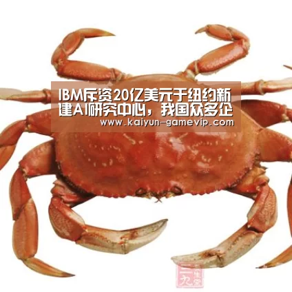 IBM斥资20亿美元于纽约新建AI研究中心,我国众多企业亦持续布局海外【开云电竞竞猜】(图4) 开云综合娱乐平台