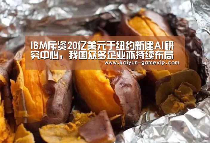 IBM斥资20亿美元于纽约新建AI研究中心,我国众多企业亦持续布局海外【开云电竞竞猜】(图2) 开云综合娱乐平台