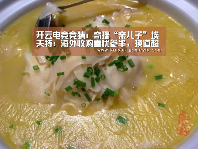 开云电竞竞猜:奇瑞“亲儿子”埃夫特:海外收购喜忧参半,换道超车未来可期(图2) 开云体育